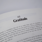 The Prayer Journal